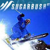 Sugarbush